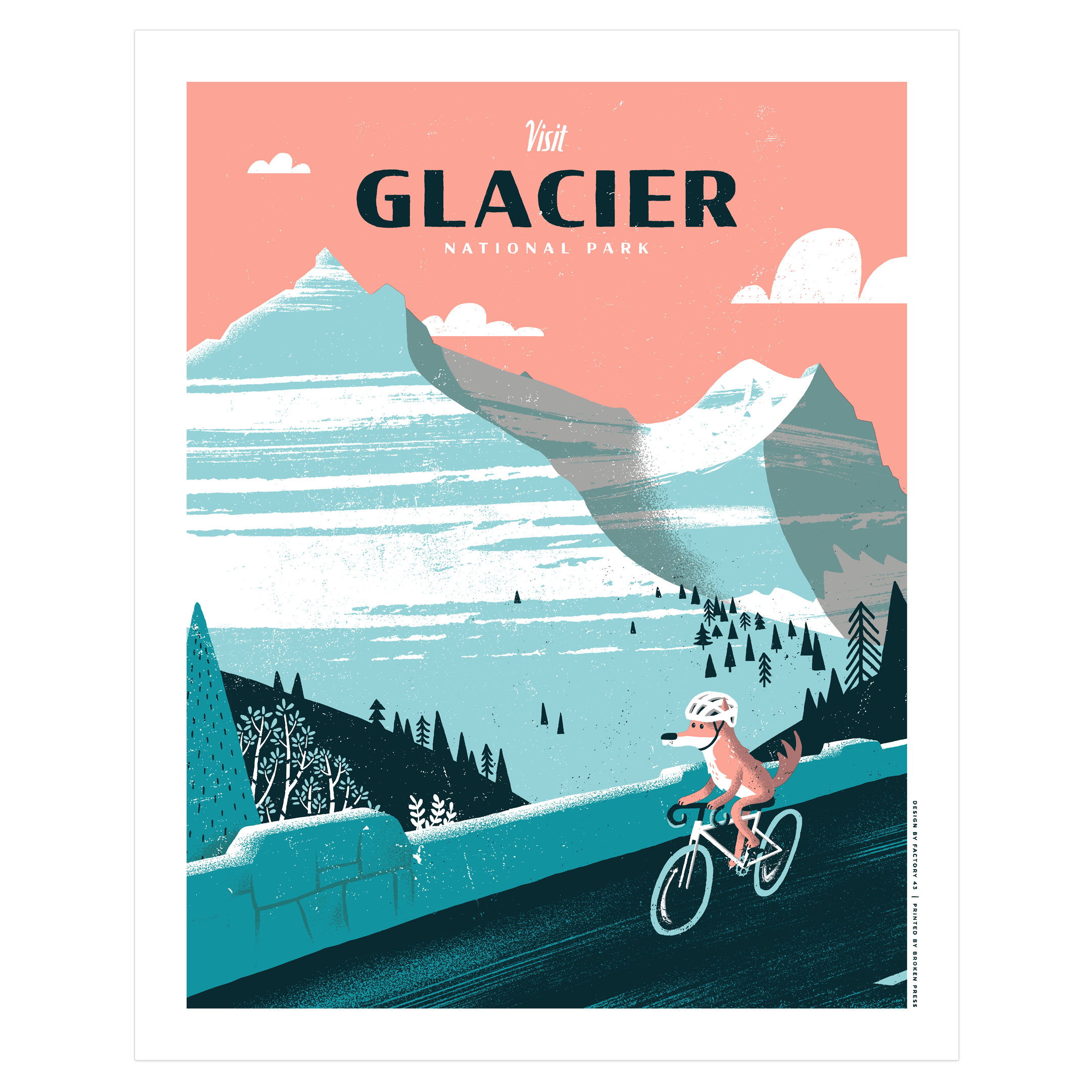 A wolverine takes a scenic bike ride in Glacier National Park in Montana.